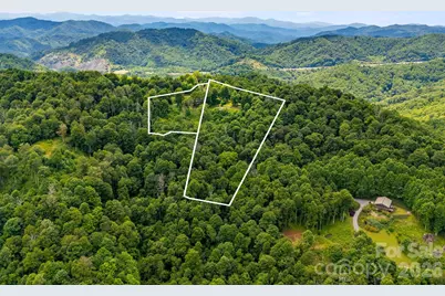 1185 & 1115 Black Bear Drive, Mars Hill, NC 28754 - Photo 4
