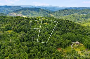 1185 & 1115 Black Bear Dr, Mars Hill, NC 28754 - Photo 4