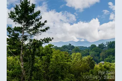 309 Ava Lane, Asheville, NC 28804 - Photo 2