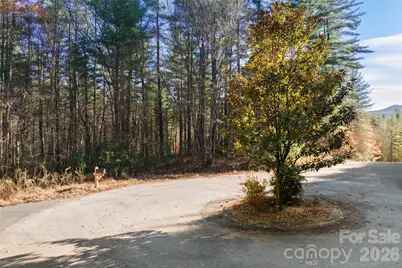 0 Daylily Drive #Lot 20, Hendersonville, NC 28739 - Photo 10