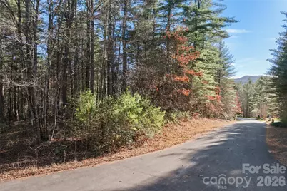 0 Daylily Drive #Lot 20, Hendersonville, NC 28739 - Photo 4