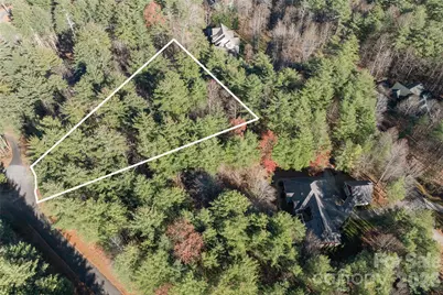0 Daylily Drive #Lot 20, Hendersonville, NC 28739 - Photo 2