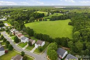 12821 Silvaire Farm Rd, Charlotte, NC 28278 - Photo 28