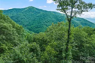 582 Tsalagi Trail, Maggie Valley, NC 28751 - Photo 6