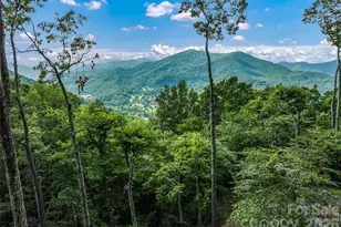 582 Tsalagi Trail, Maggie Valley, NC 28751 - Photo 4
