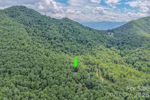 23 Tom Worley Rd, Leicester, NC 28748 - Photo 12