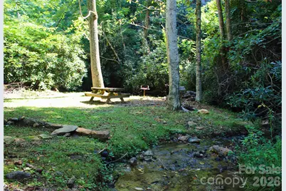 2838 Seven Mile Ridge Road, Burnsville, NC 28714 - Photo 46