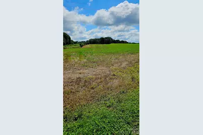1490 Pork Road, Peachland, NC 28133 - Photo 1