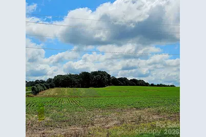 1490 Pork Road, Peachland, NC 28133 - Photo 2
