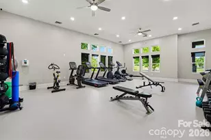 8621 Sequoia Grove Ln, Charlotte, NC 28214 - Photo 44