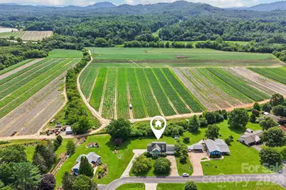 20 Amber Drive, Horse Shoe, NC 28742 - Photo 36