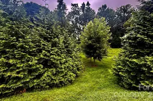5 Northlake Dr, Weaverville, NC 28787 - Photo 46