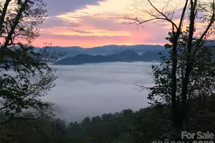 226 Strickland Dr, Waynesville, NC 28785 - Photo 10