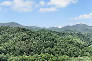 291 Incline Dr Dr, Sylva, NC 28779 - Photo 38