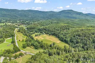 1870 Palmer Rd, Mill Spring, NC 28756 - Photo 36