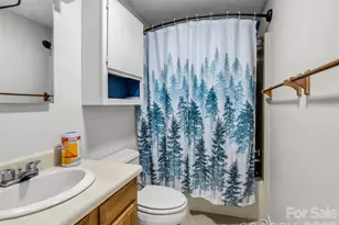 1870 Palmer Rd, Mill Spring, NC 28756 - Photo 26