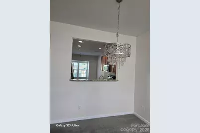 11727 Elizabeth Madison Court, Charlotte, NC 28277 - Photo 10