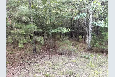 00 Cross Creek Drive #277, Rutherfordton, NC 28139 - Photo 4