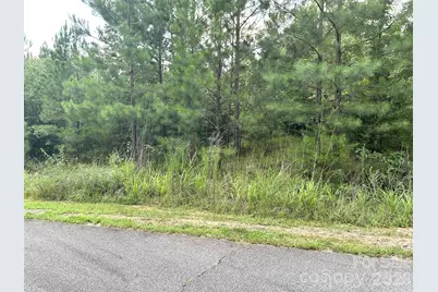 00 Cross Creek Drive #277, Rutherfordton, NC 28139 - Photo 8