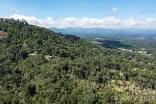 58 Teaberry Ln, Weaverville, NC 28787 - Photo 38