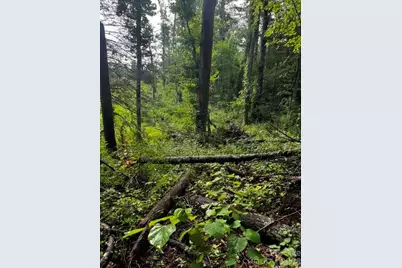 00000 Monticello Road, Weaverville, NC 28787 - Photo 12