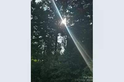 00000 Monticello Road, Weaverville, NC 28787 - Photo 2