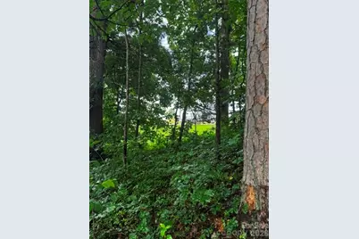00000 Monticello Road, Weaverville, NC 28787 - Photo 6
