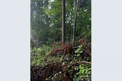 00000 Monticello Road, Weaverville, NC 28787 - Photo 10