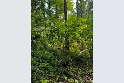 00000 Monticello Road, Weaverville, NC 28787 - Photo 8