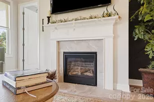 3029 Trce Mdw Ct, York, SC 29745 - Photo 22