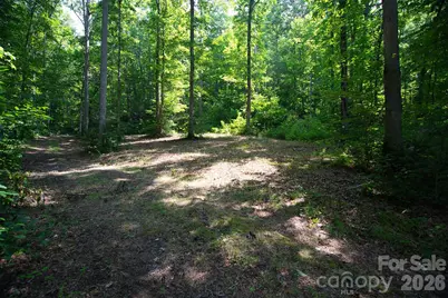 35 Lower Sand Branch Road, Black Mountain, NC 28711 - Photo 8