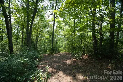 35 Lower Sand Branch Road, Black Mountain, NC 28711 - Photo 34