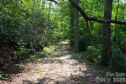 35 Lower Sand Branch Road, Black Mountain, NC 28711 - Photo 32