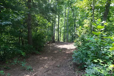 35 Lower Sand Branch Road, Black Mountain, NC 28711 - Photo 24
