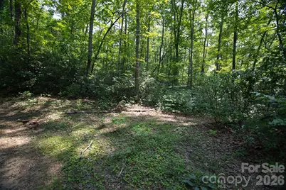 35 Lower Sand Branch Road, Black Mountain, NC 28711 - Photo 38