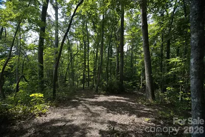 35 Lower Sand Branch Road, Black Mountain, NC 28711 - Photo 18