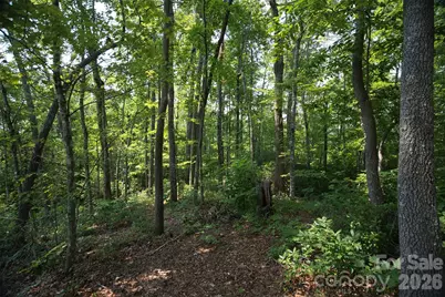 35 Lower Sand Branch Road, Black Mountain, NC 28711 - Photo 20