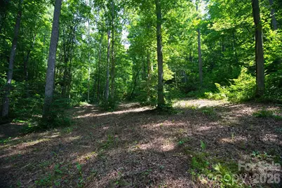 35 Lower Sand Branch Road, Black Mountain, NC 28711 - Photo 12