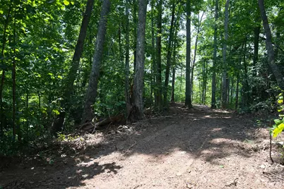 35 Lower Sand Branch Road, Black Mountain, NC 28711 - Photo 22