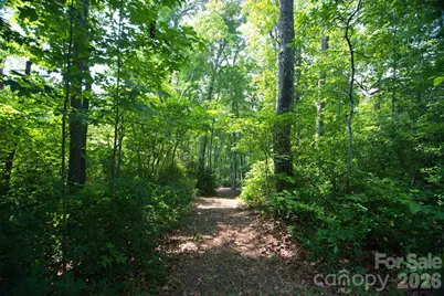 35 Lower Sand Branch Road, Black Mountain, NC 28711 - Photo 14