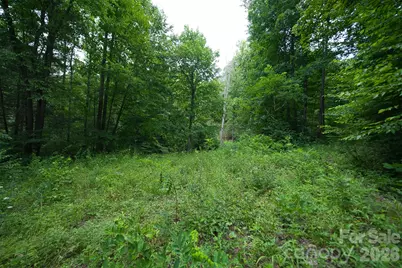35 Lower Sand Branch Road, Black Mountain, NC 28711 - Photo 42