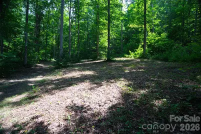 35 Lower Sand Branch Road, Black Mountain, NC 28711 - Photo 10