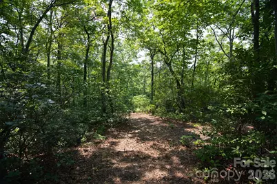 35 Lower Sand Branch Road, Black Mountain, NC 28711 - Photo 36