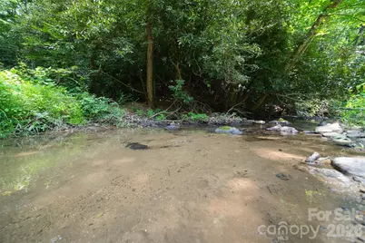 35 Lower Sand Branch Road, Black Mountain, NC 28711 - Photo 46