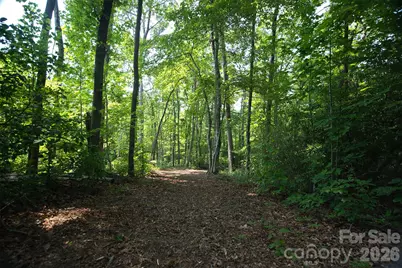 35 Lower Sand Branch Road, Black Mountain, NC 28711 - Photo 16