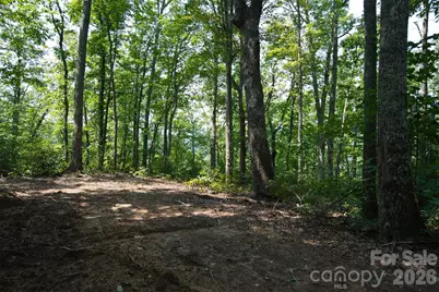 35 Lower Sand Branch Road, Black Mountain, NC 28711 - Photo 28