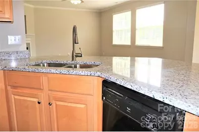 1218 Haden Drive, Waxhaw, NC 28173 - Photo 8