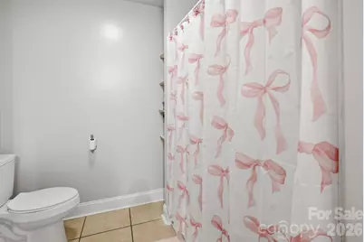 63 Frost Lane, Taylorsville, NC 28681 - Photo 36