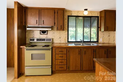 30 Gertrude Lane, Candler, NC 28715 - Photo 2