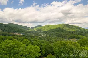 30 Gertrude Ln, Candler, NC 28715 - Photo 10